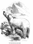 The Polar bear and her cubs