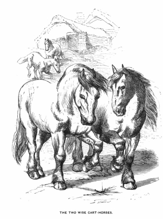 The two wise cart-horses.jpg