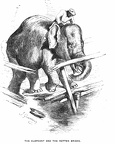 The Elephant and the Rotten Bridge