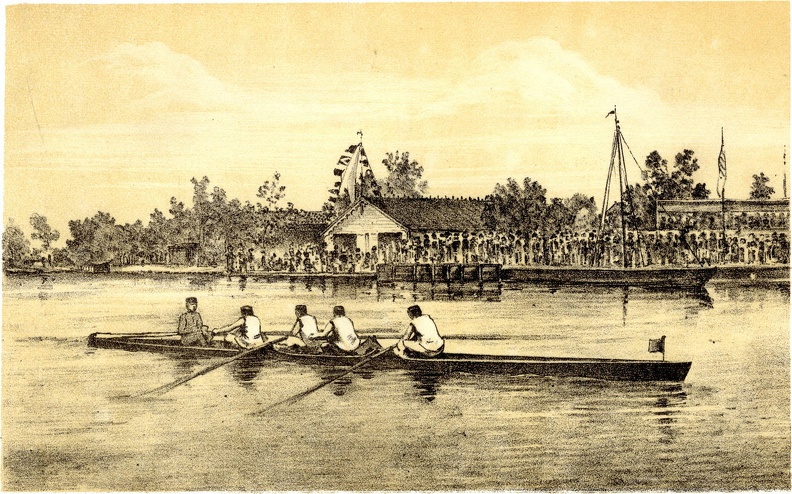 'Sans nom ' at the Race of June 8, 1884, near Leiden..jpg