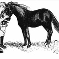 Boy and girl feeding a pony an apple