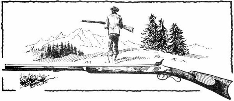 Hawken Rifle