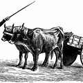 Basque Cart