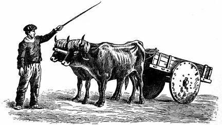 Basque Cart