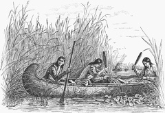 Ojibwa Women Gathering Wild Rice