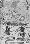 Some early medical entomology