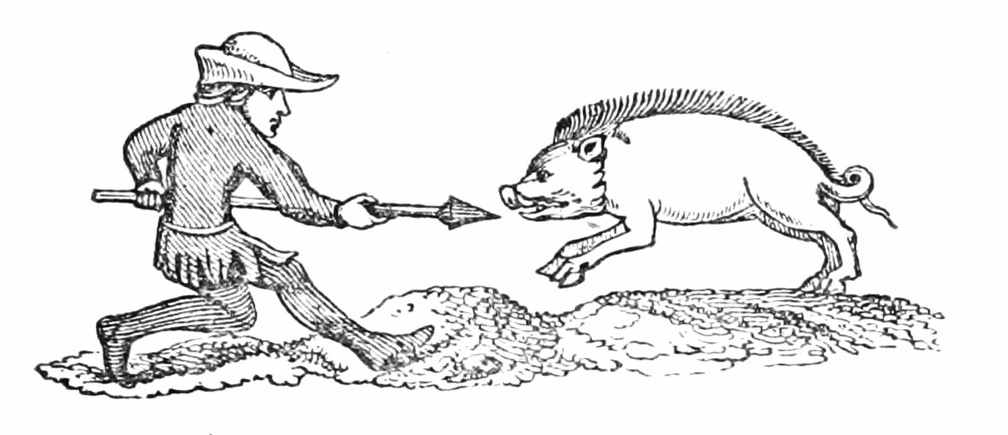 Spearing a Boar—XIV. Century.jpg