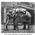 Indian Elephant employed in a Timber yard, Moulmein