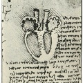 Leonardo Da Vincis diagram of the heart