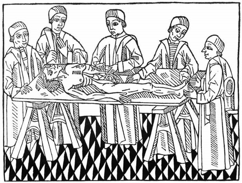The first printed picture of dissection.jpg