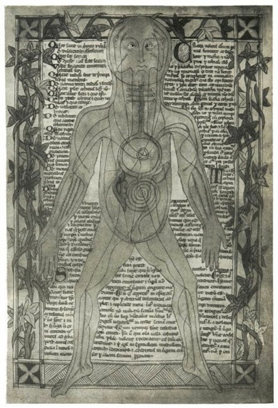 An anatomical diagram of about 1298