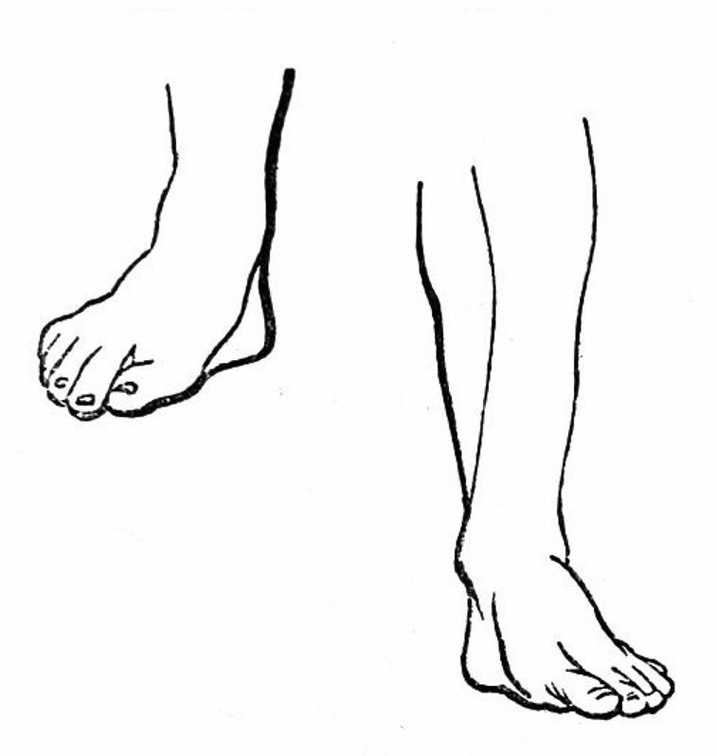 Feet.jpg