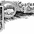 Custard and Creams
