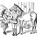 Boy and Girl feeding a horse
