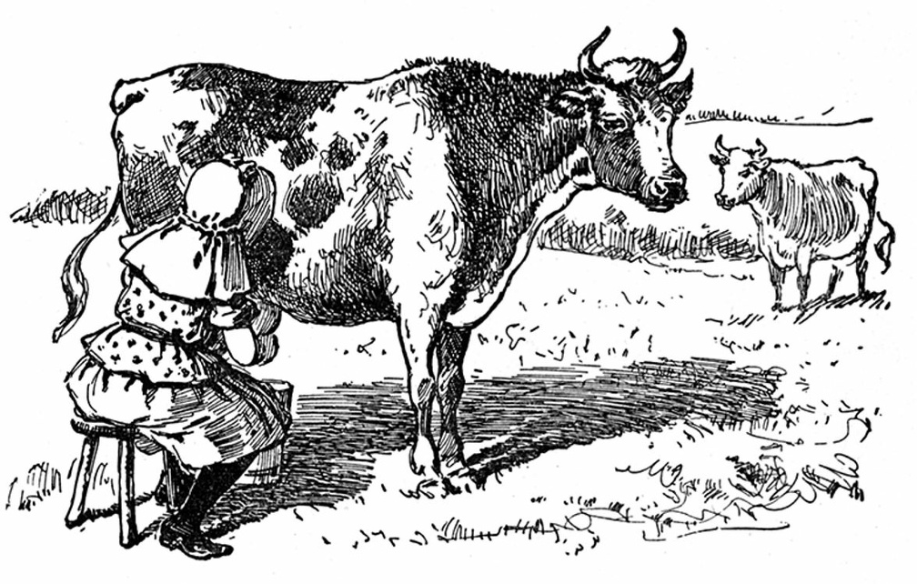 Milking a cow.jpg