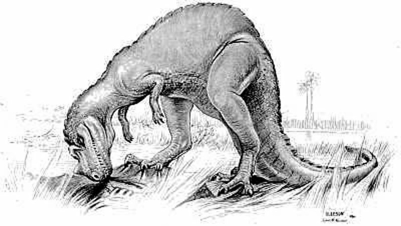 The Horned Ceratosaurus, a Carnivorous Dinosaur.jpg