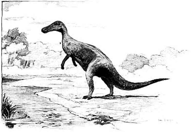 Thespesius, a Common Herbivorous Dinosaur of the Cretaceous.jpg