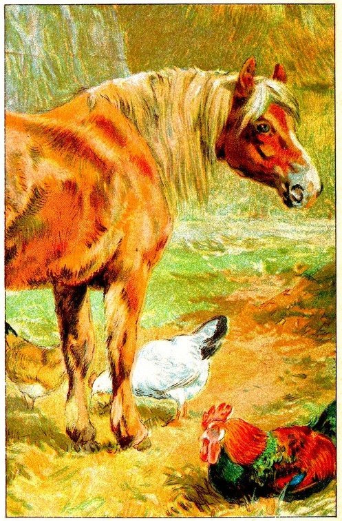 Horse and chickens.jpg