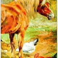 Horse and chickens