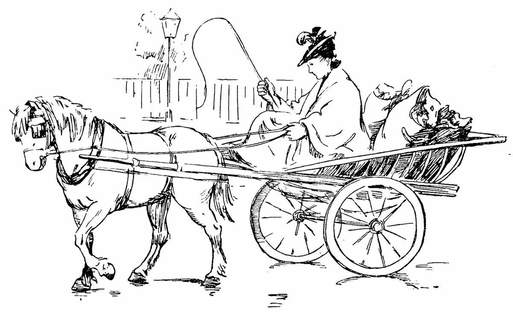 Lady driving in a horse and cart.jpg