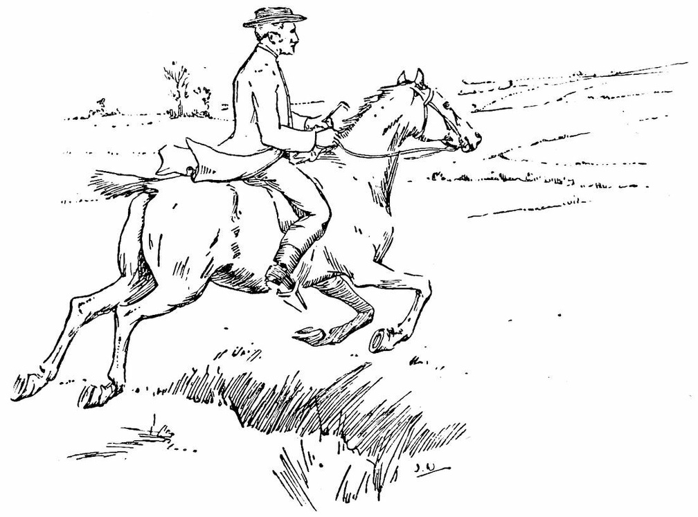 Man riding horse.jpg