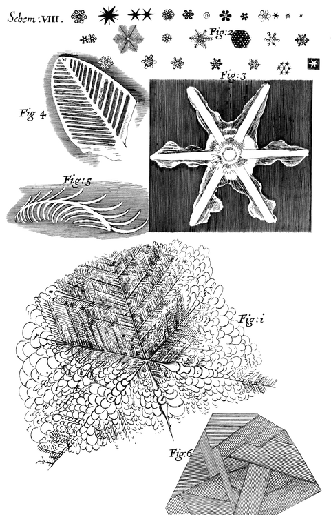 Several Observables in the six-branched Figures form'd on the surface of Urine by freezing.png