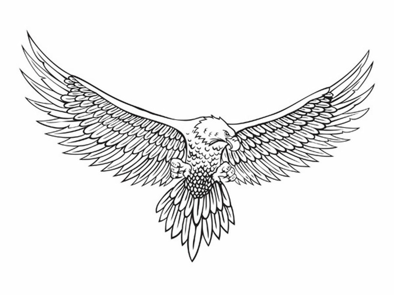 Eagle 1.jpg