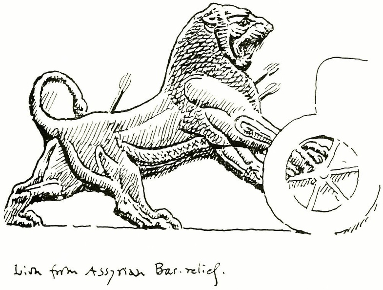 Lion from Assyrian Bas-relief.jpg