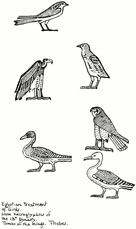 Egyptian treatment of birds. from hieroglyphics of the 18th Dynasty.jpg