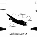 Lockheed A-29&A.jpg