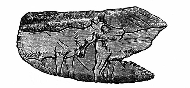 Prehistoric carving.jpg