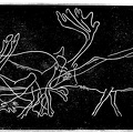 Group of reindeer drawn upon a piece of slate