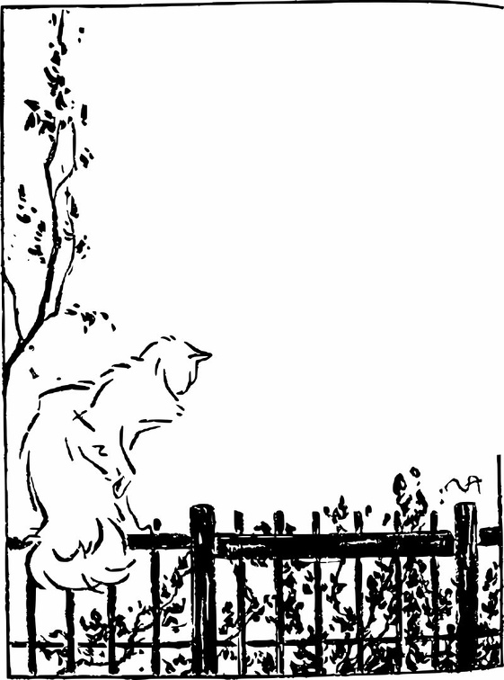 Cat sitting on a fence.jpg