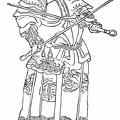 Mailed Warrior - 11th Century
