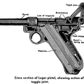 Cross Section of Luger pistol