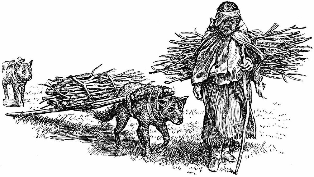 Each dog dragged a travois loaded with wood.jpg