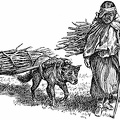 Each dog dragged a travois loaded with wood
