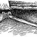 Turtle’s hoe was made of the shoulder bone of a buffalo set in a light-wood handle, the blade firmly bound in place with thong