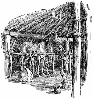 My father stabled his horses at night in our lodge, in a little corral fenced off against the wall