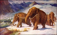 Scene from the Prehistoric World -  Early Ice Age