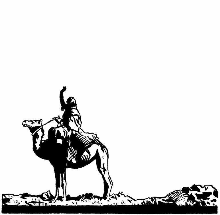 Camel and rider.jpg