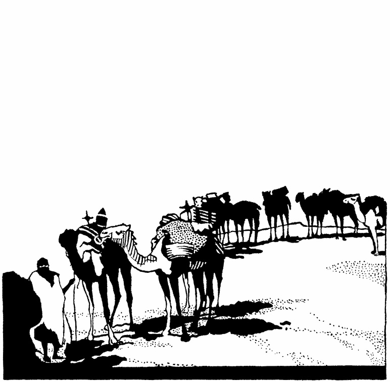 Caravan of camels.jpg