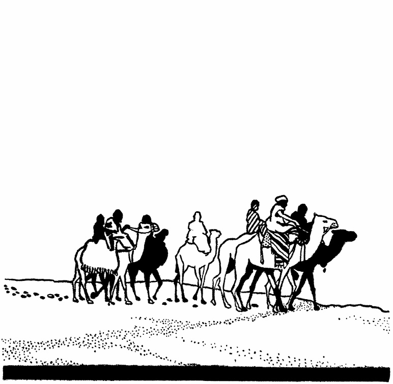 Group of camels and riders.jpg