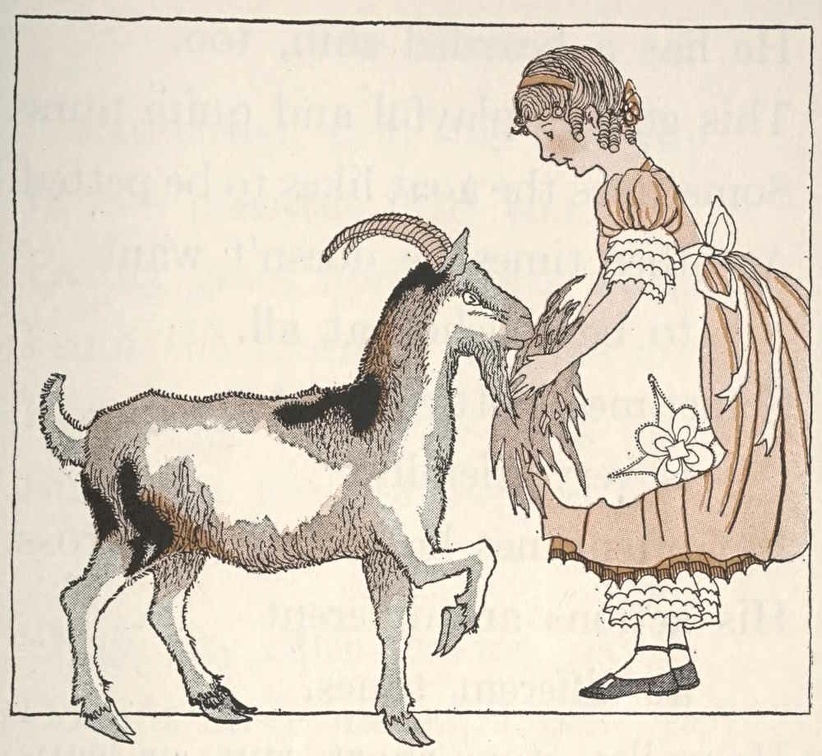 Girl feeding a goat.jpg