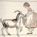 Girl feeding a goat.jpg