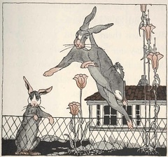 Rabbit jumping the fence