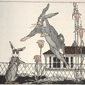 Rabbit jumping the fence