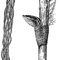 Hopi curved stick