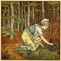 lady digging up plant in forest - col
