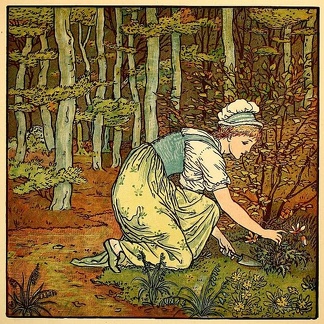 lady digging up plant in forest - col